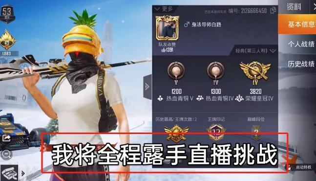 和平精英外挂【独行者】回归